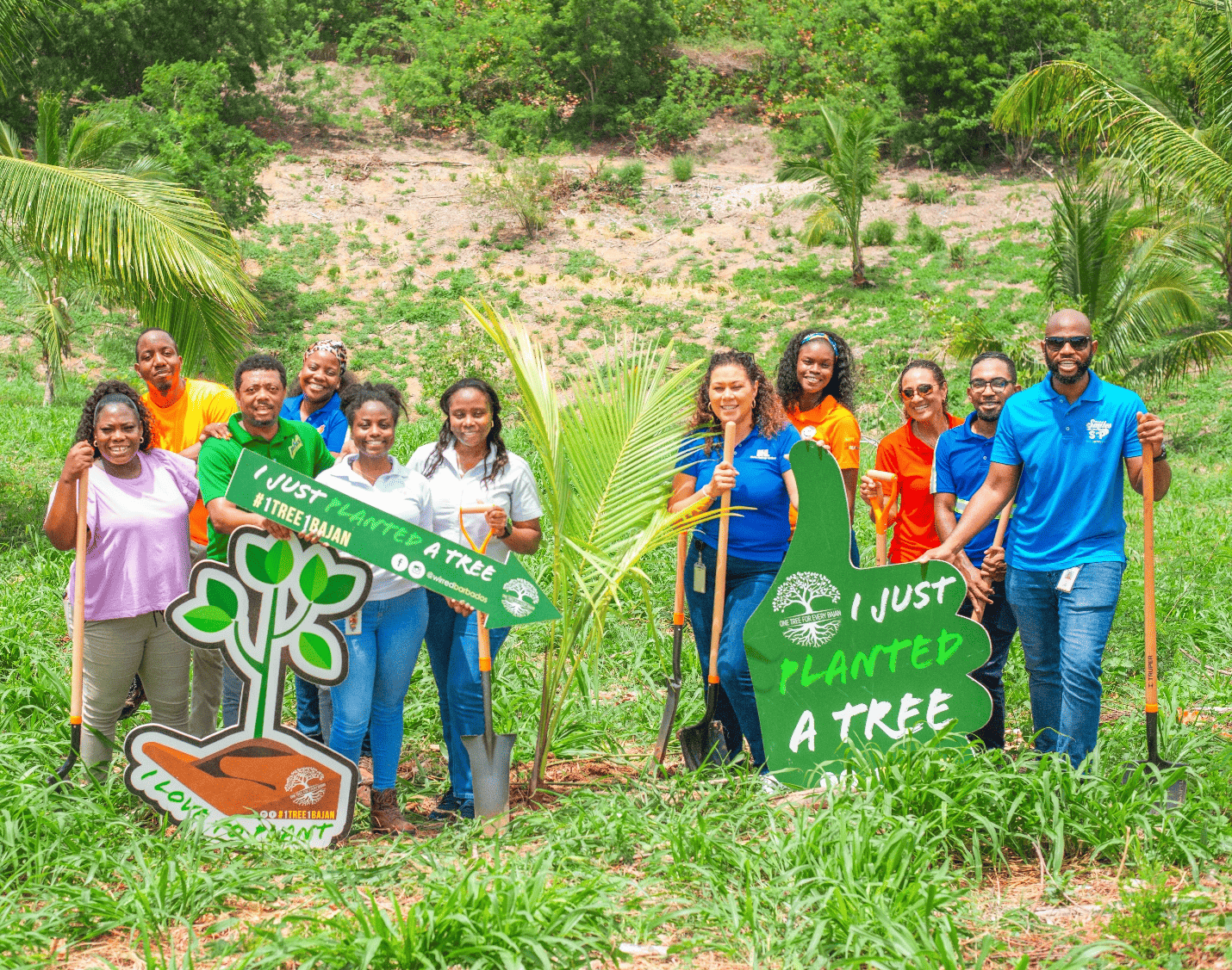 The BHL Group participates in environmental activities for World Environment Day and World Oceans Day