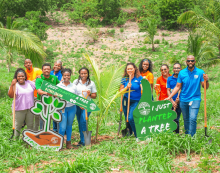 The BHL Group participates in environmental activities for World Environment Day and World Oceans Day